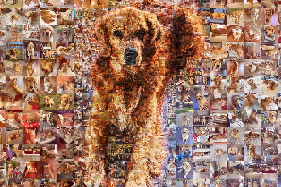 Winston rebuilt as a mosaic of hundreds of his own photographs